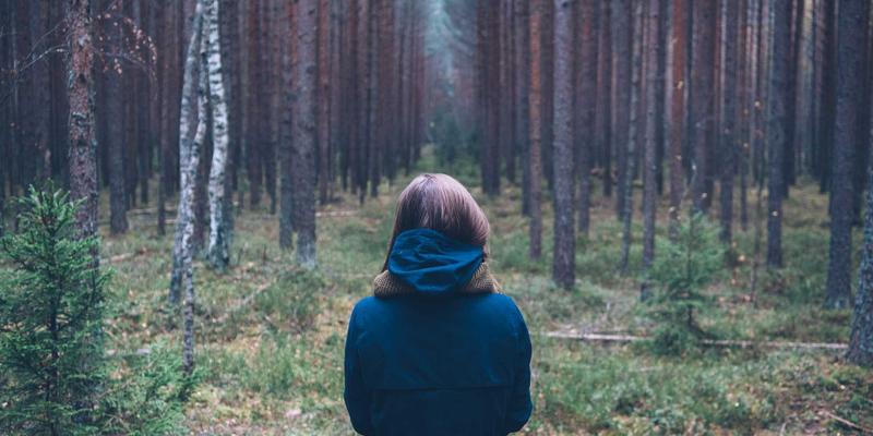 守护山居安全与美景：张家界系统门窗抗风压等级全解析与定制指南
