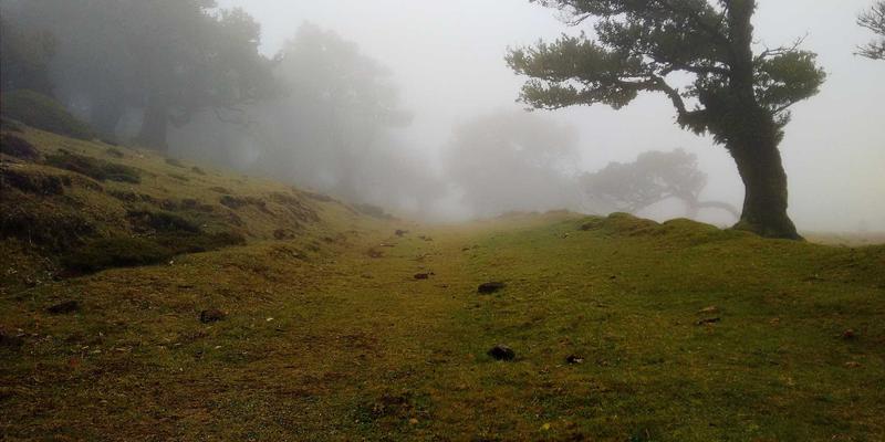 张家界智能门窗系统本地化应用：如何与山居环境实现智能联动
